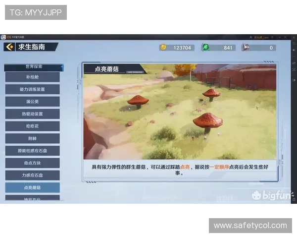 星城手机官方地址官方地址常见问题解答，解决用户疑问的详细指南